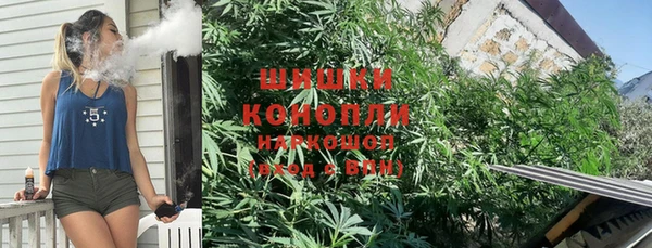 гидра Козловка