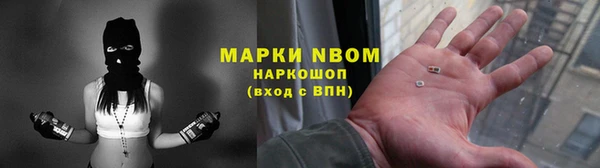 гидра Козловка