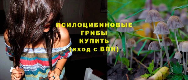 гидра Козловка